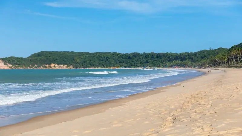 Descubra o Paraíso na Praia da Laje em Alagoas
