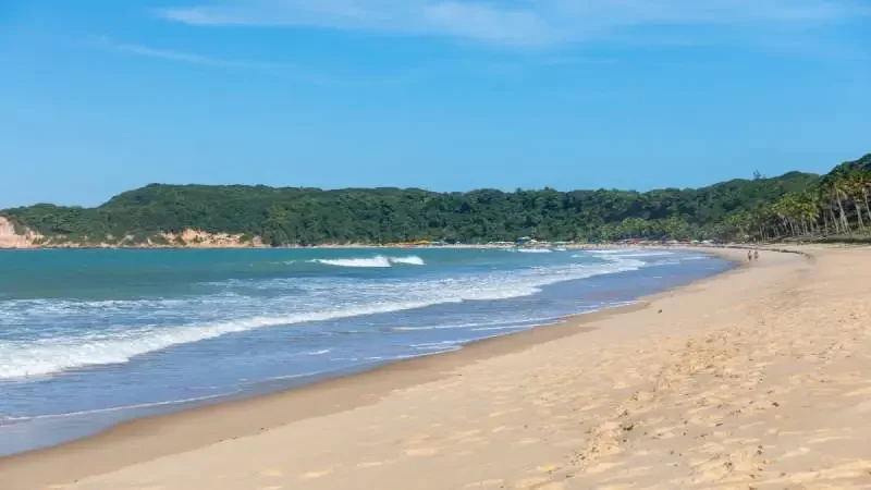 Descubra o Paraíso na Praia da Laje em Alagoas