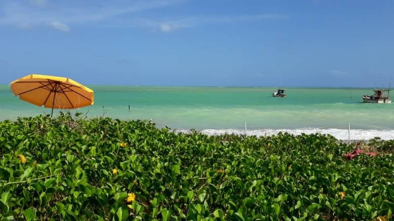 Explore a Praia de Paripueira em Alagoas